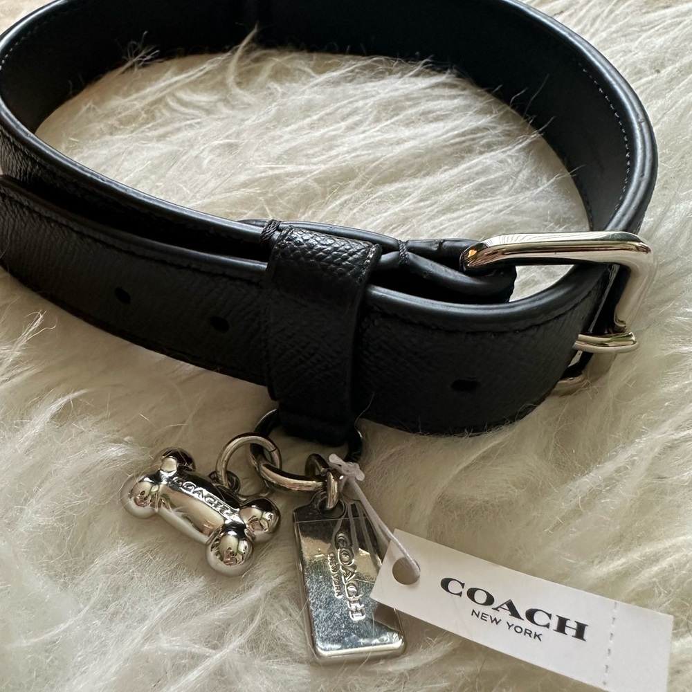 Black leather Coach dog collar